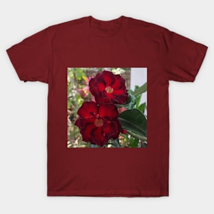 Dessert Rose 2 T-Shirt